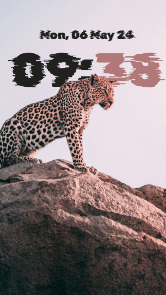 A leopard sitting on a rock against a pale pink sky, with a glitch-style 09:38 clock in black and dusty rose behind its back.